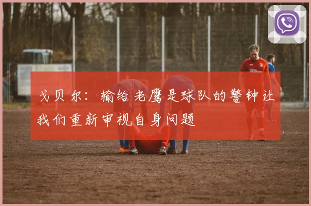 戈贝尔：输给老鹰是球队的警钟让我们重新审视自身问题