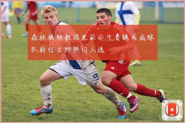 森林狼助教诺里获公牛青睐或成球队新任主帅热门人选