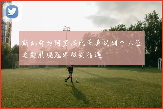 斯凯奇为阿努诺比量身定制个人签名鞋展现冠军级别待遇
